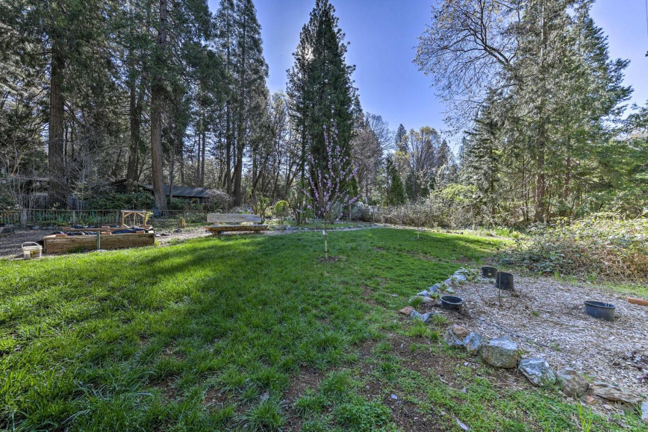 Peaceful Grass Valley Cottage With Bbq Grill And Yard! Екстер'єр фото